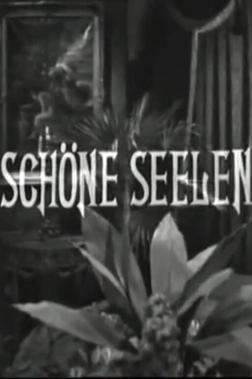 Affiche du film Schöne Seelen