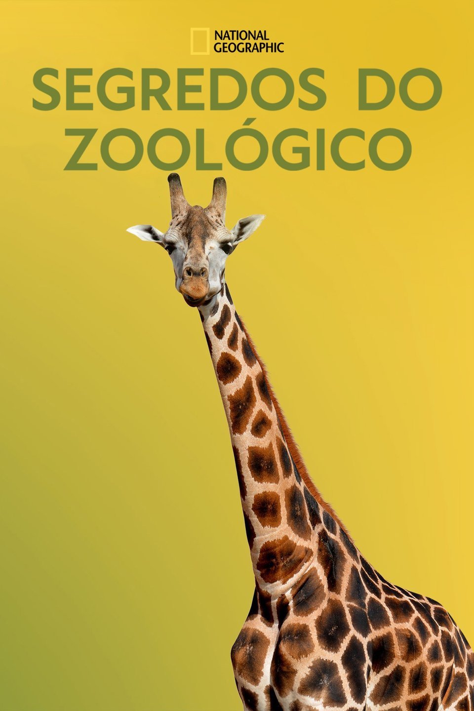 Poster de Temporada 2