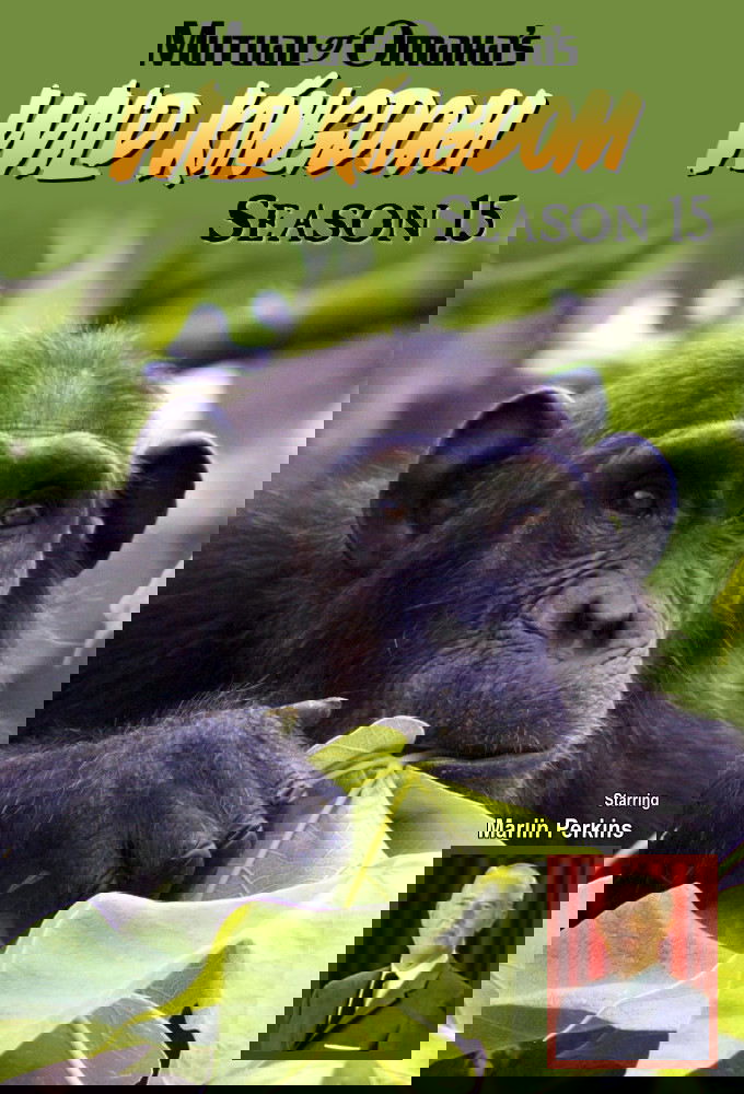 Poster de Temporada 15