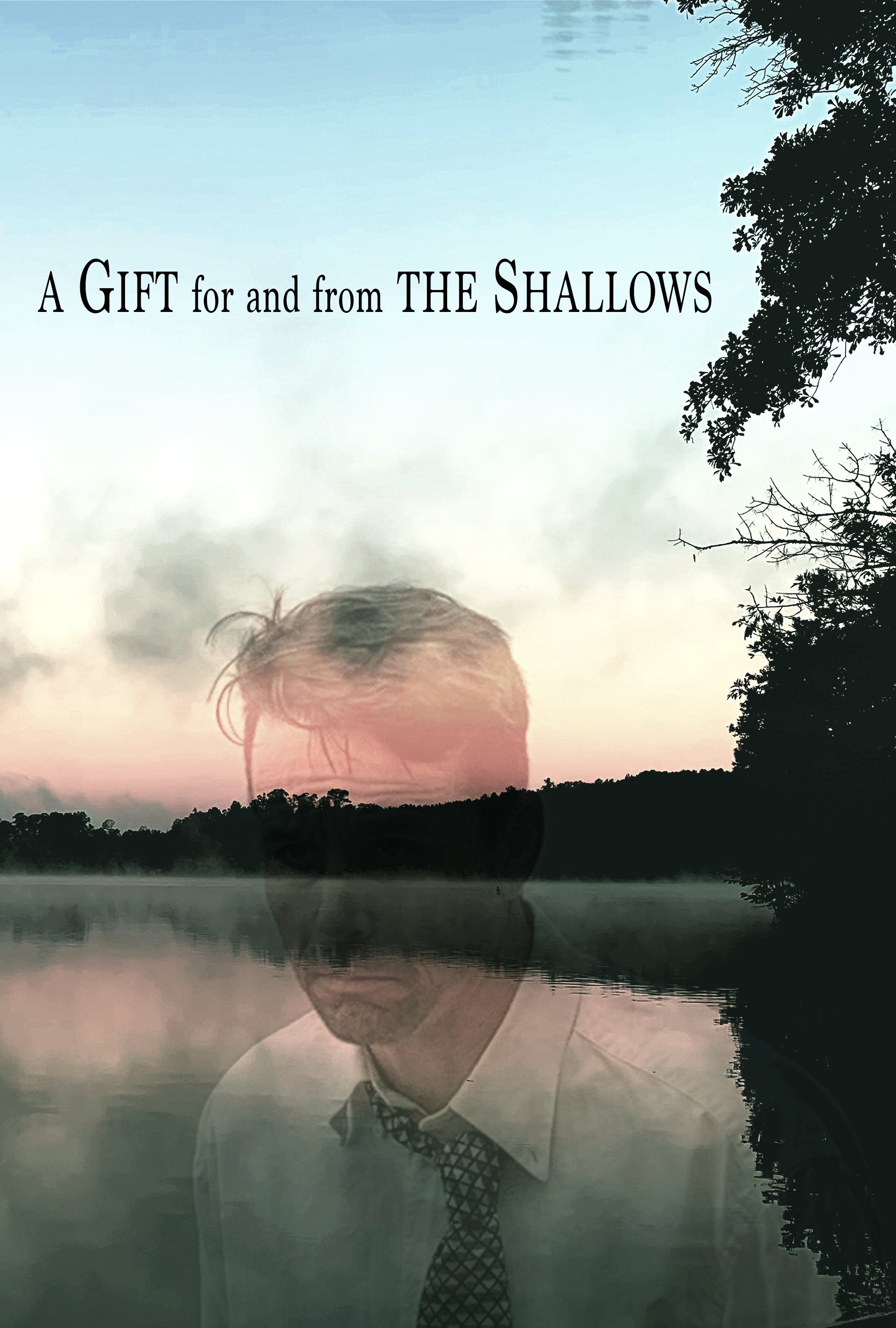 Poster de A Gift for and from the Shallows