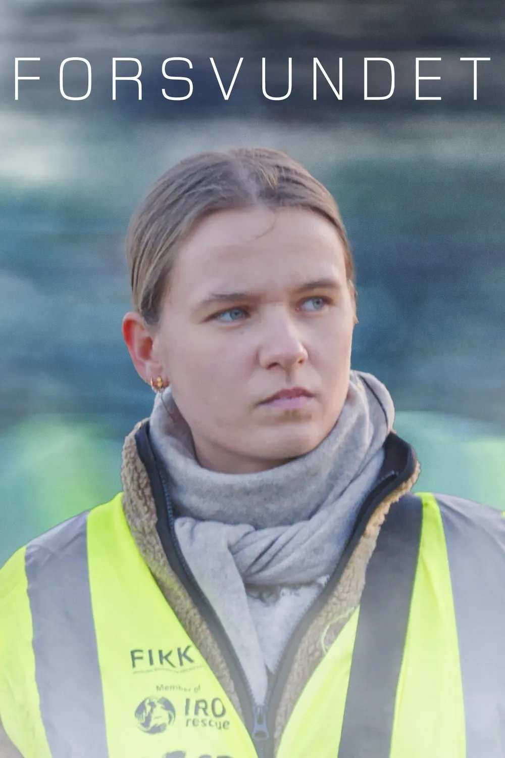 Poster de Forsvundet