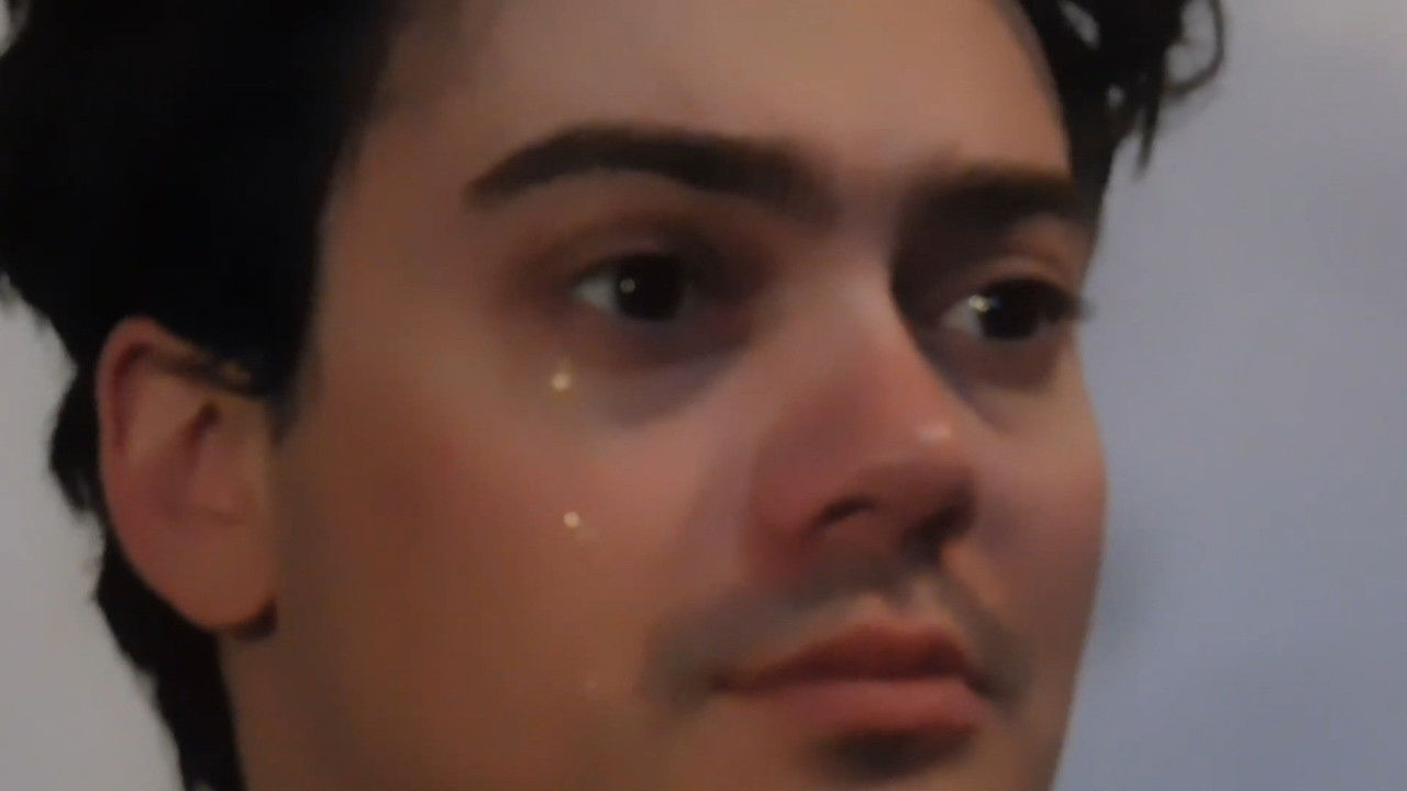 sacha_butterfly_hypno_reconstruction1.mp4