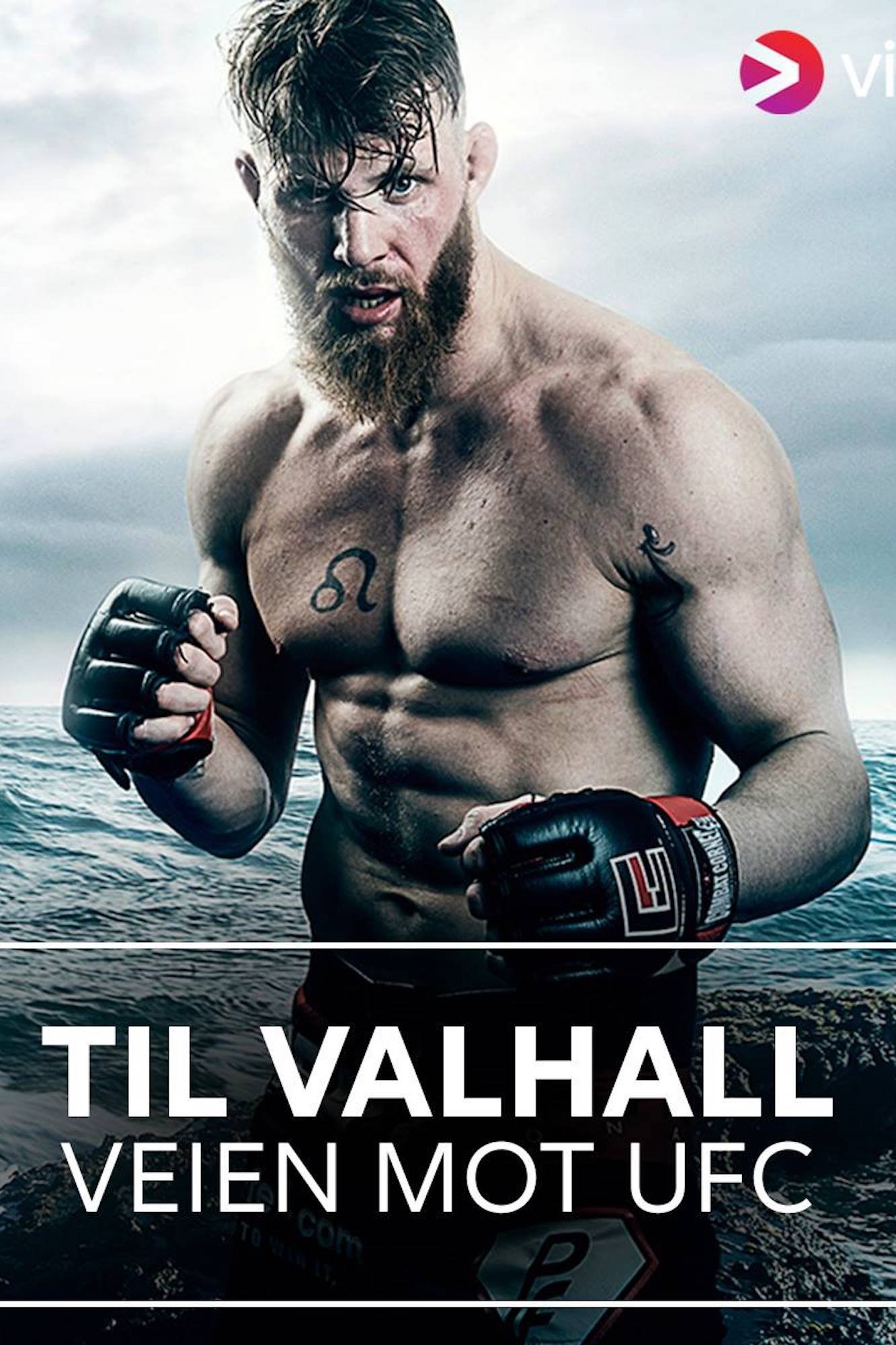Affiche du film Til Valhall: Veien Mot UFC