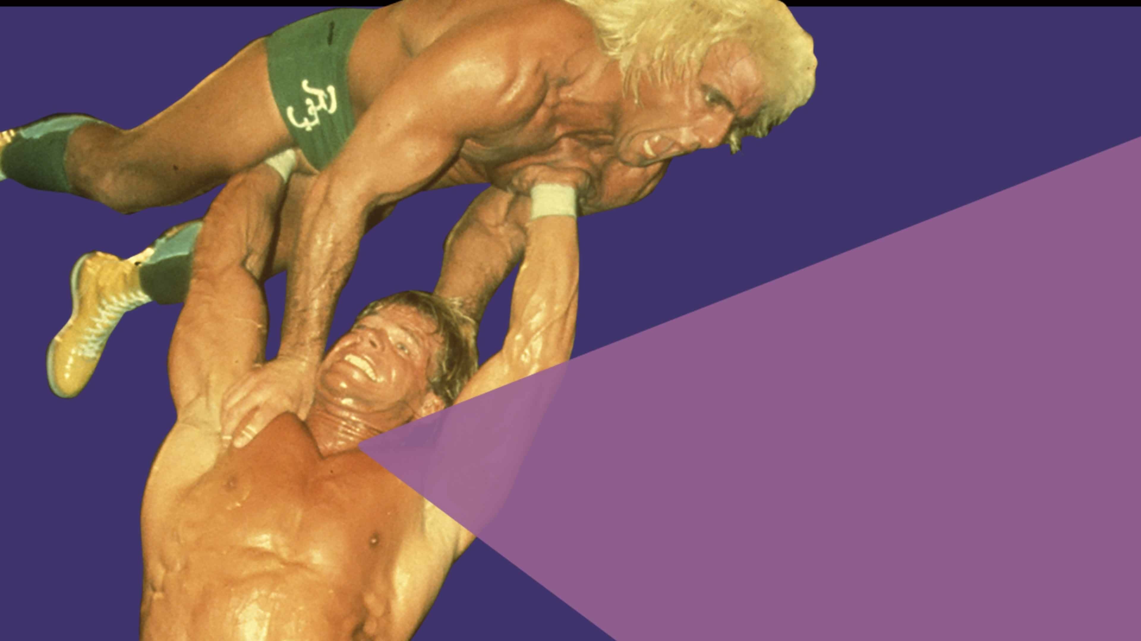 NWA The Great American Bash '88: The Price for Freedom