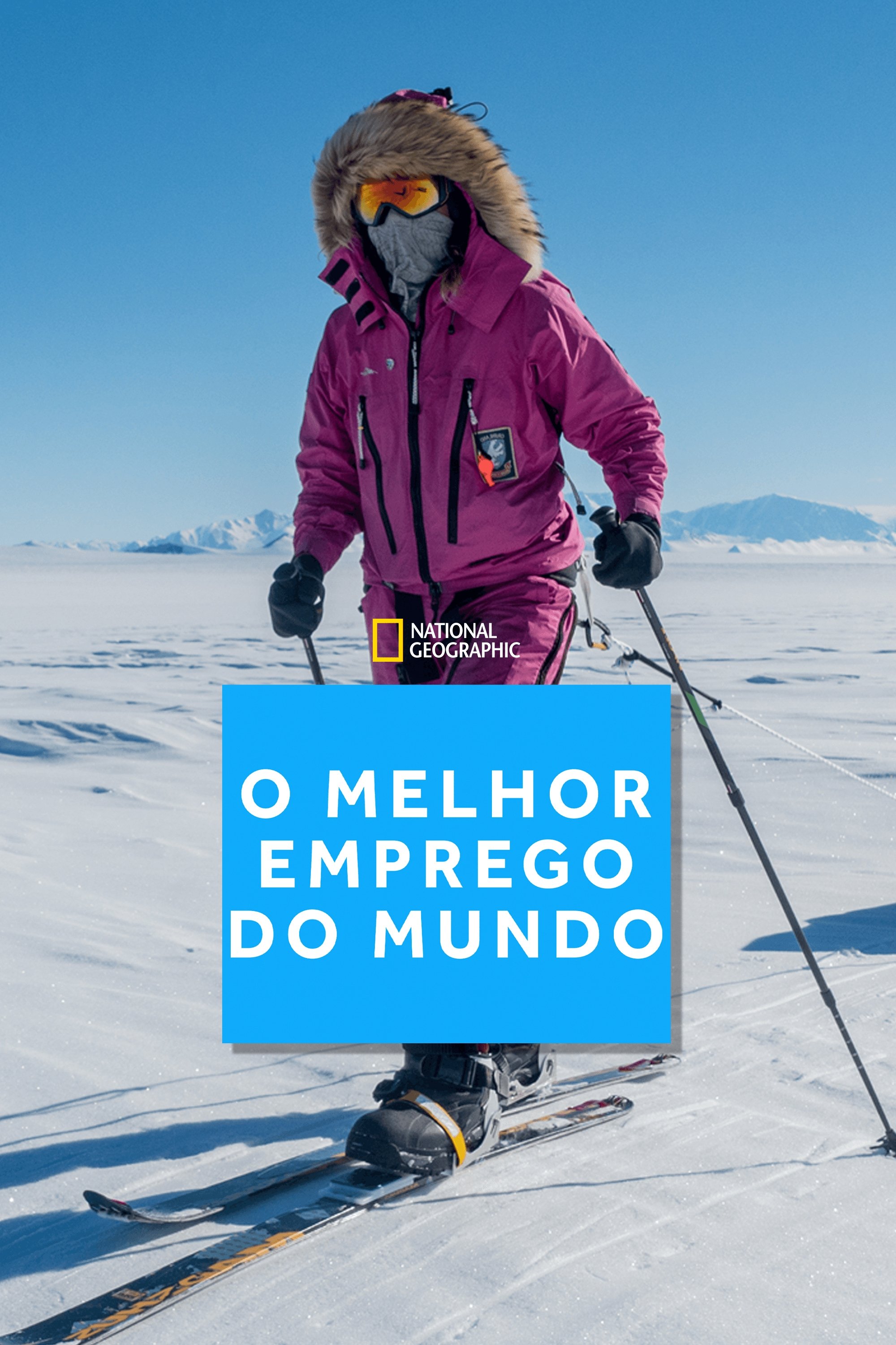 Poster de O Melhor Emprego do Mundo