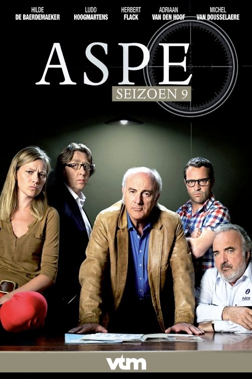 Poster de Temporada 9