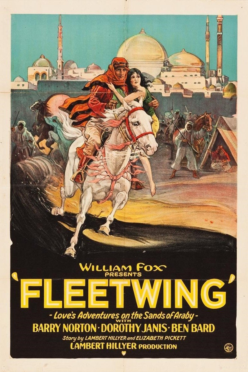 Poster de Fleetwing
