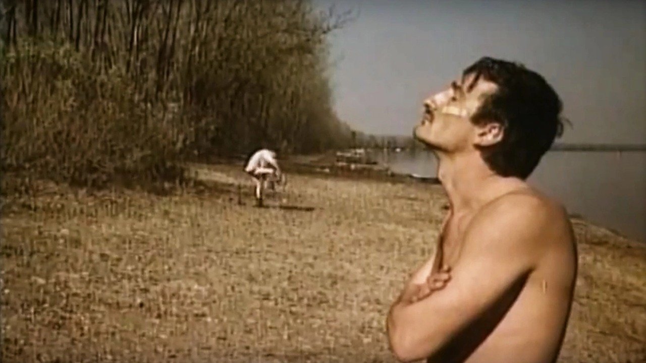 Nikola Stojanović