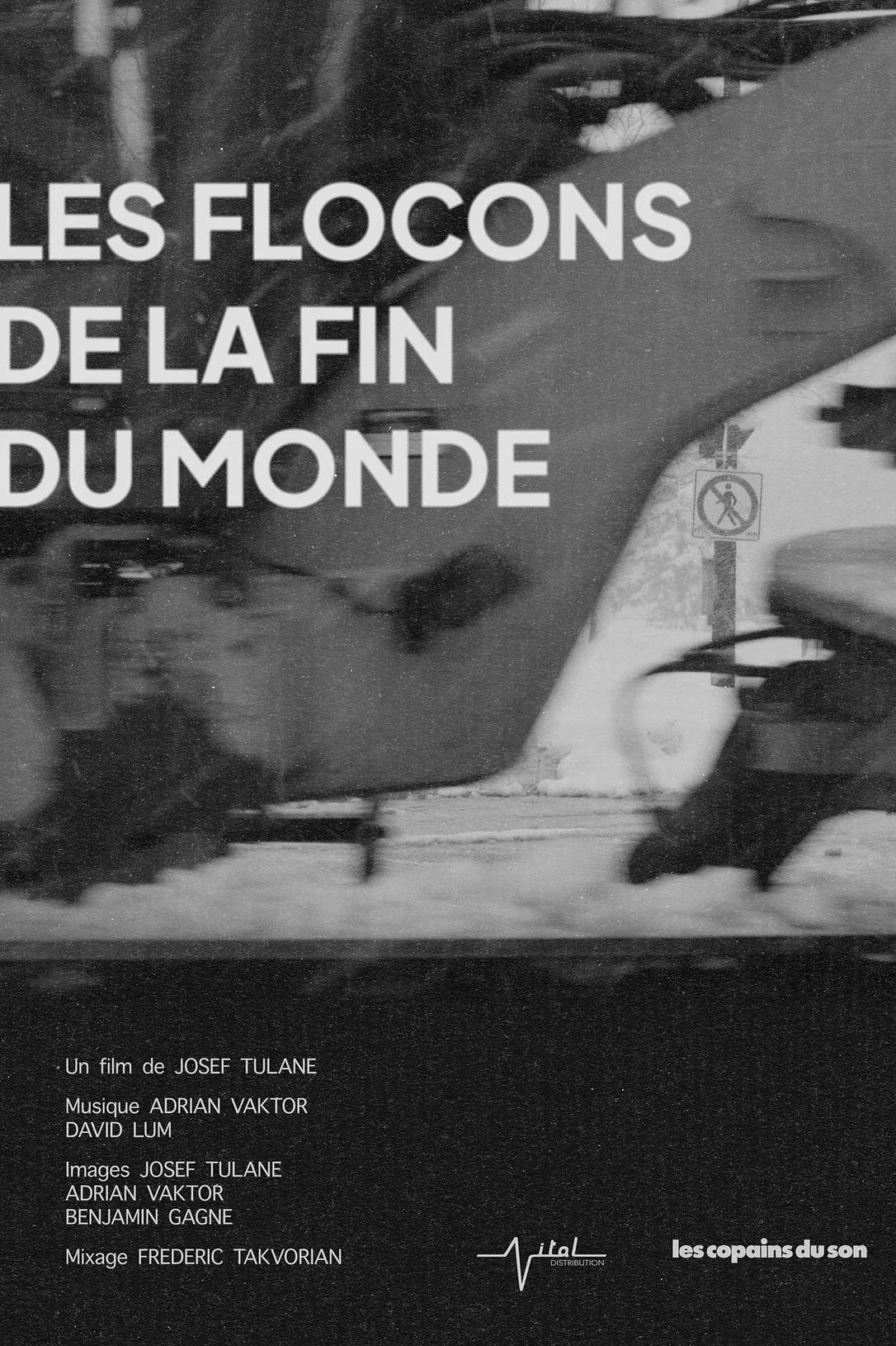 Poster de Les flocons de la fin du monde