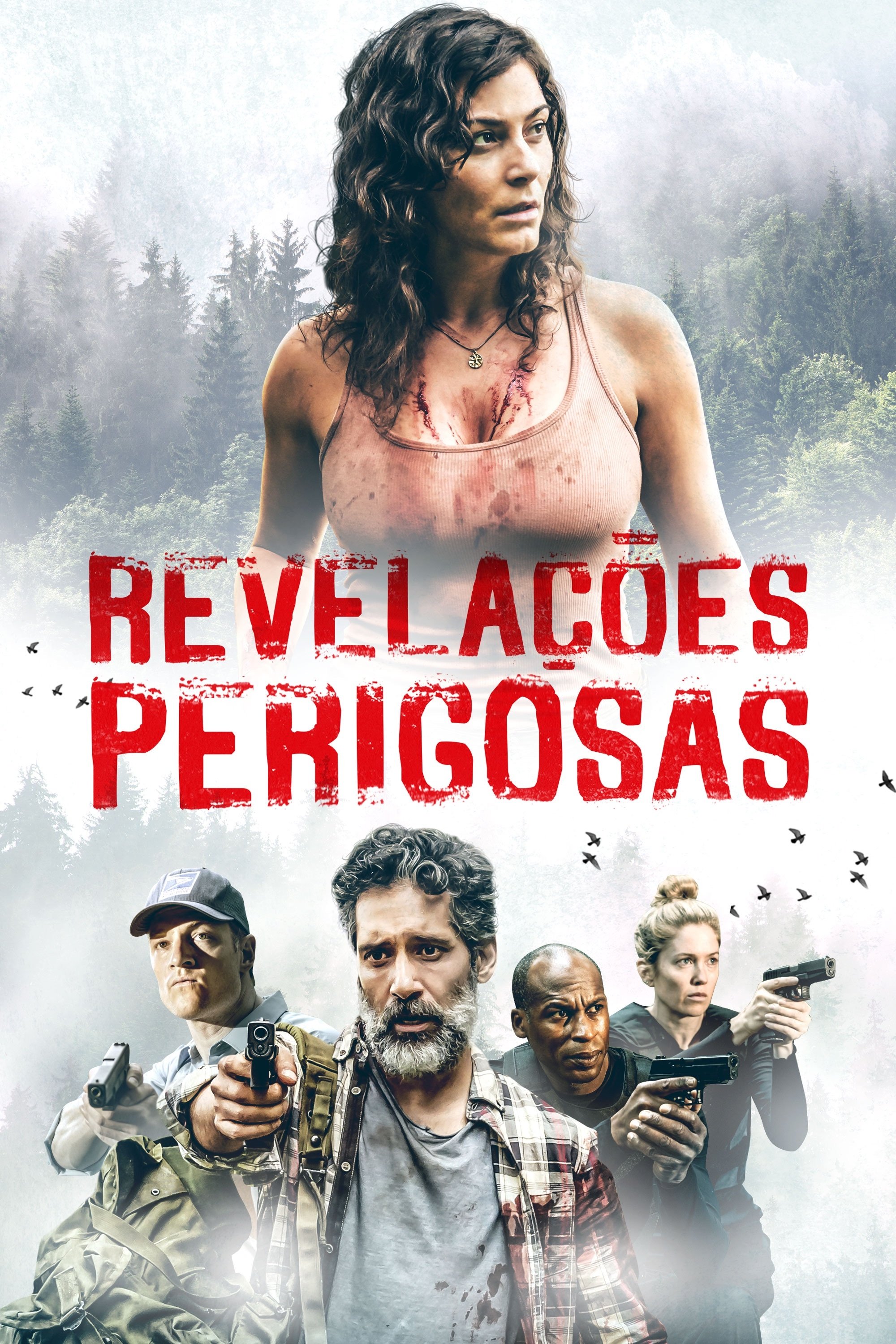 Poster de Revelações Perigosas