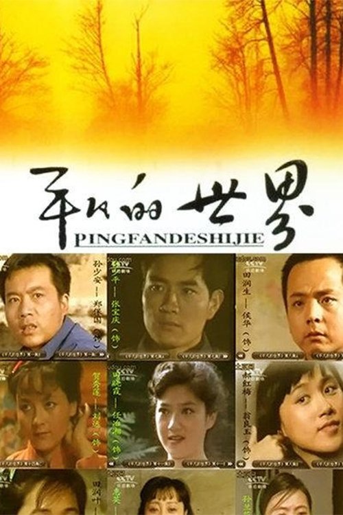 Poster de 平凡的世界