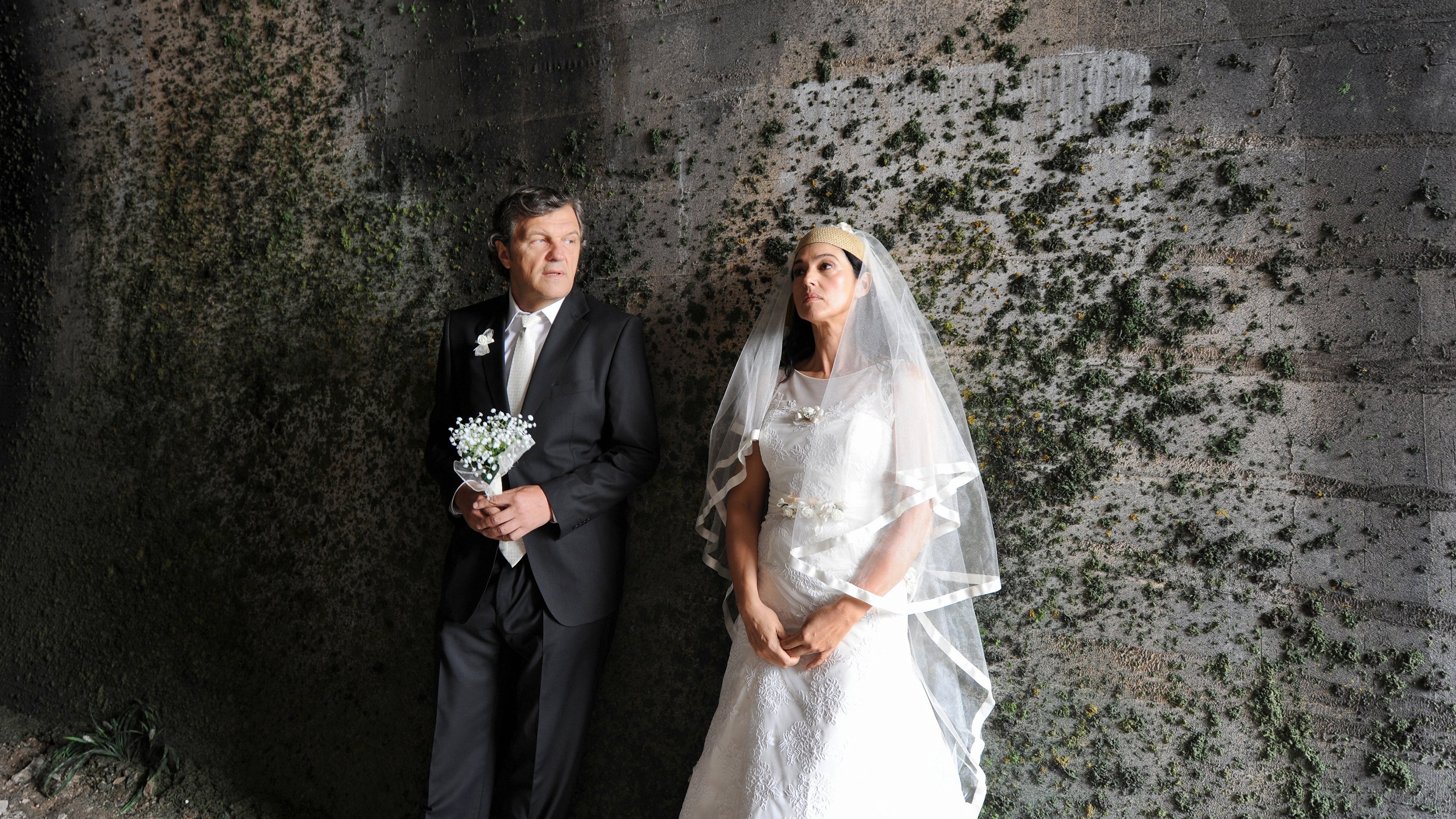 backdrops