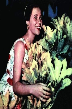 Foto de Zubaida Tharwat