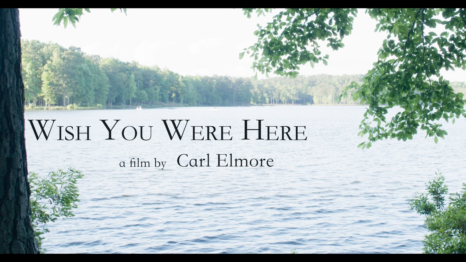 Wish You Were Here