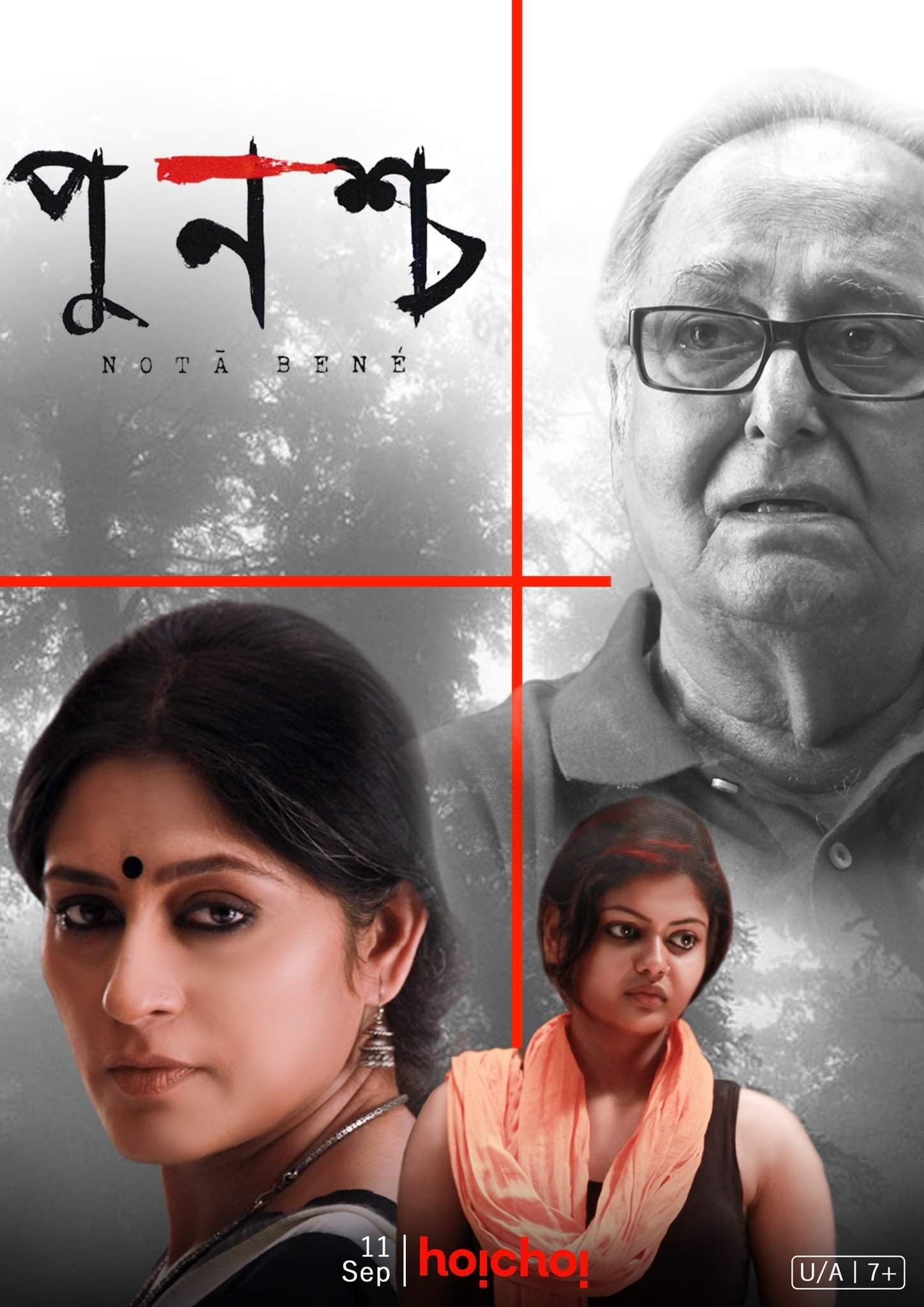 Poster for Punascha