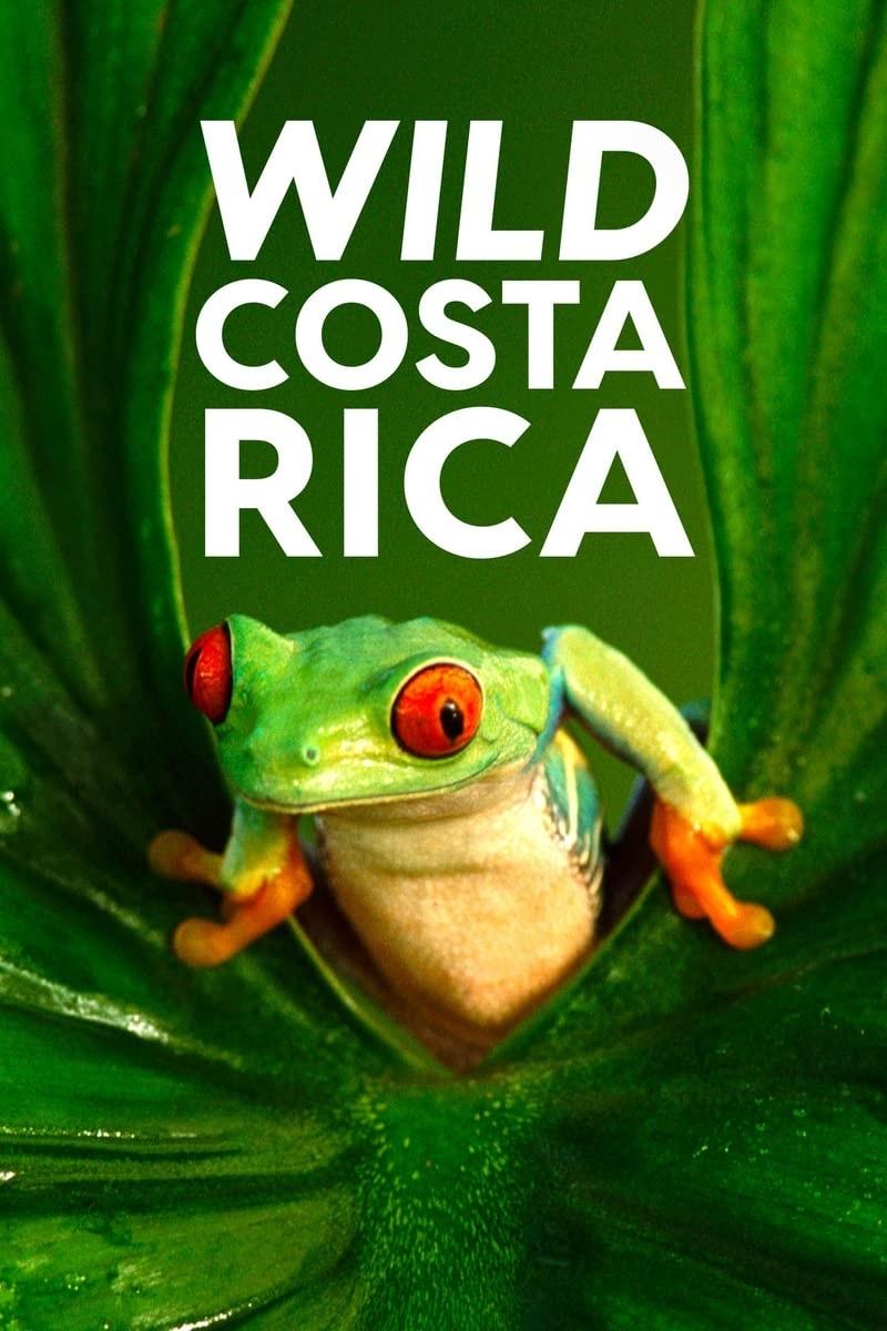 Poster de Wild Costa Rica