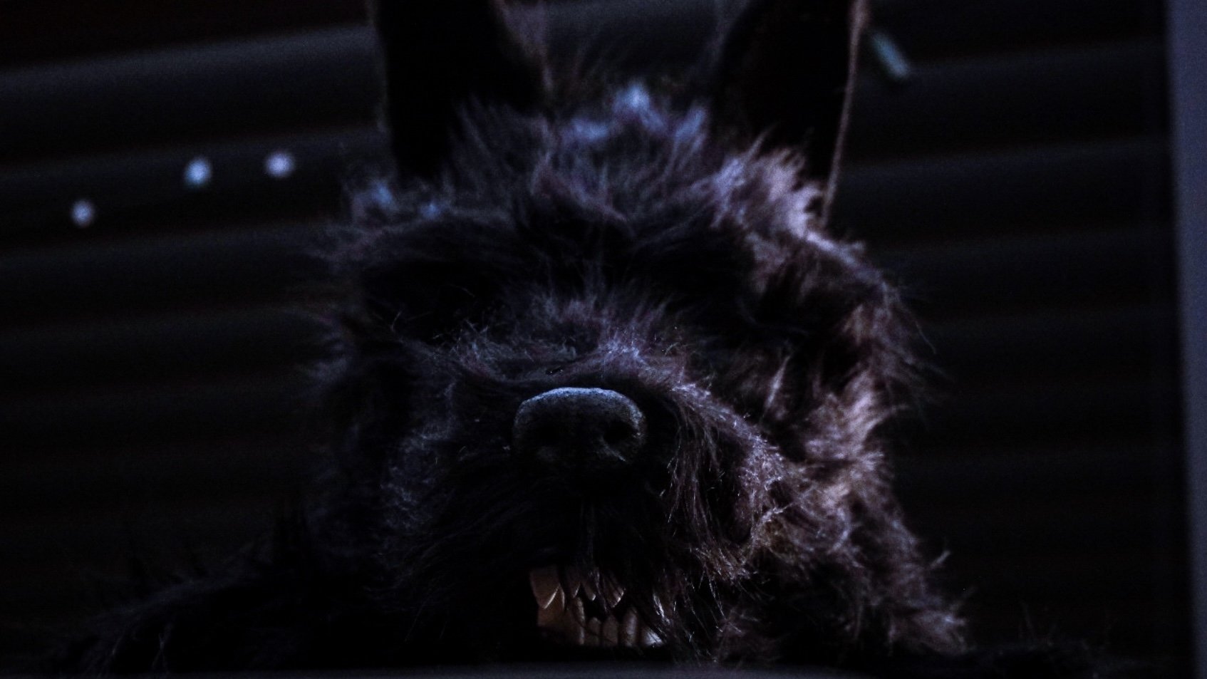 Dogman