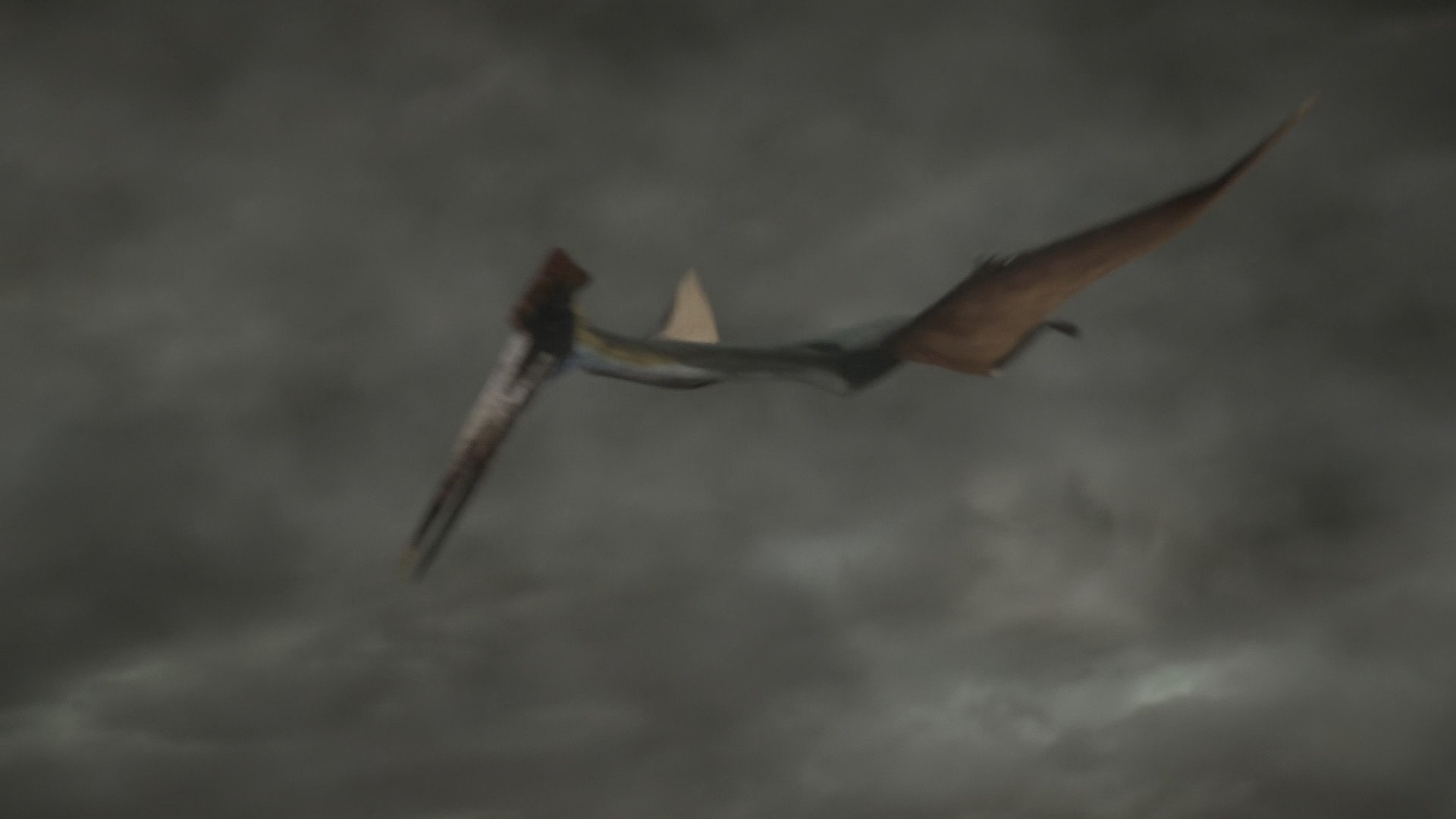 Episode 3