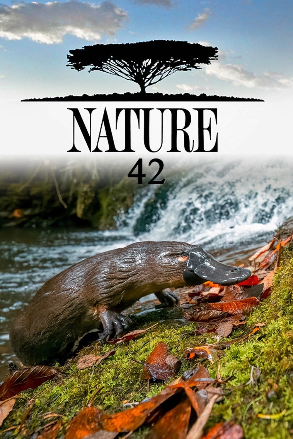 Poster de Temporada 42