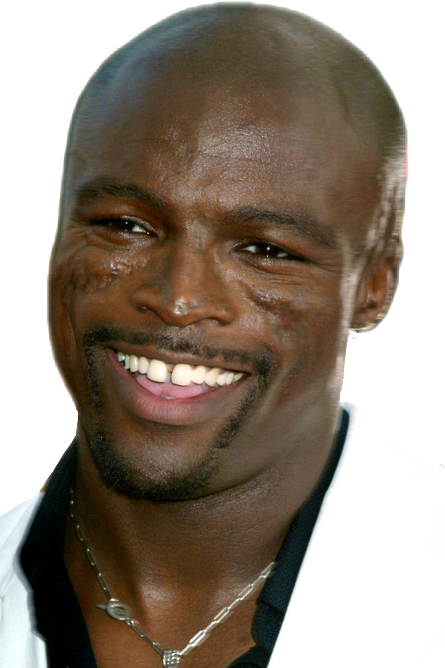 Foto de Seal
