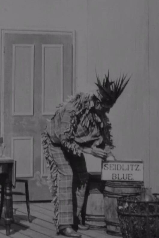 Poster de The Indian Chief and the Seidlitz Powder
