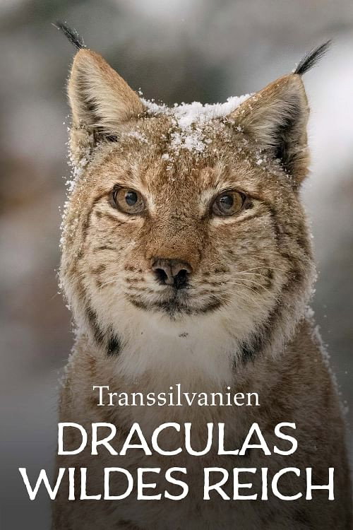 Transsilvanien, Draculas wildes Reich