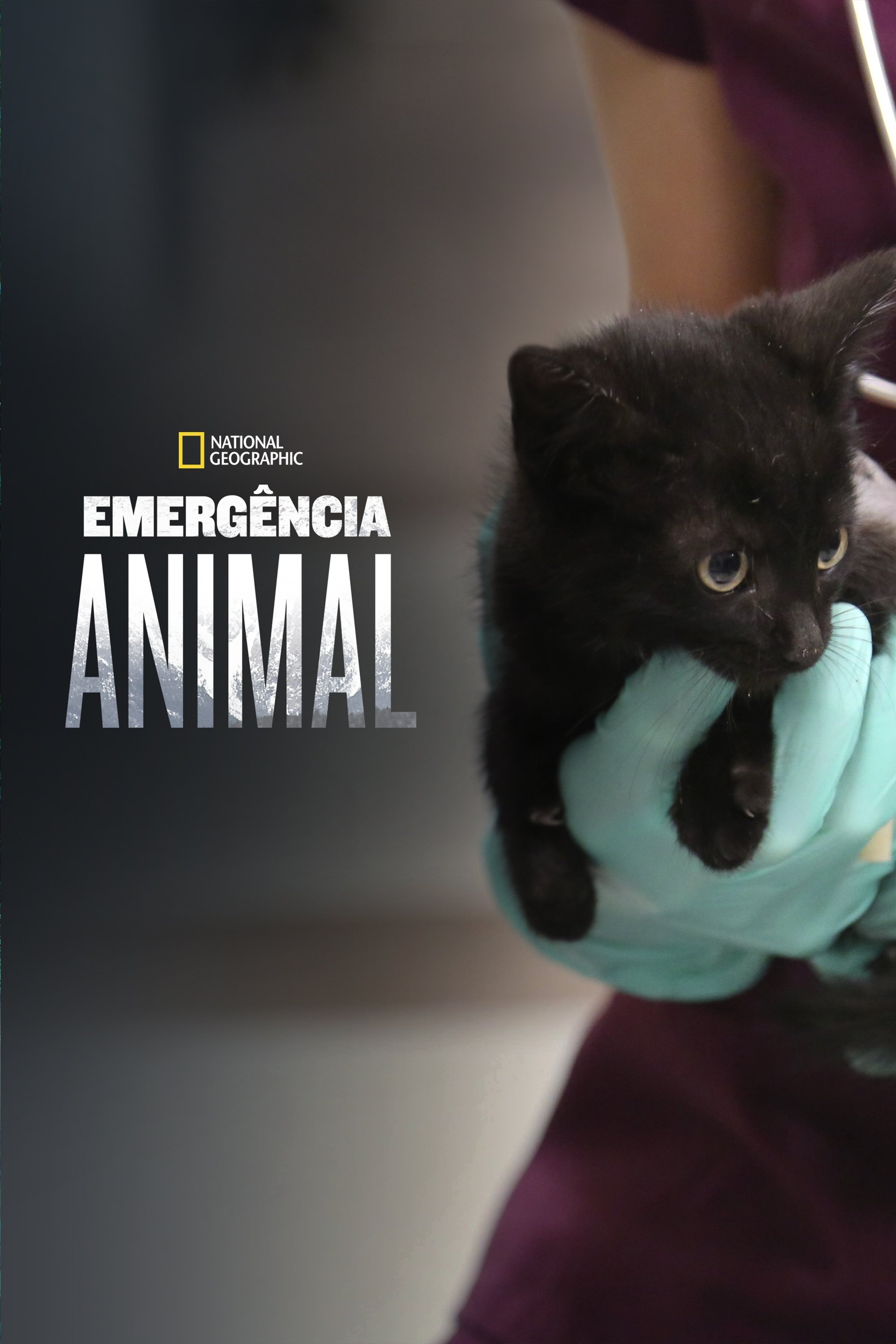 Poster de Emergência Animal