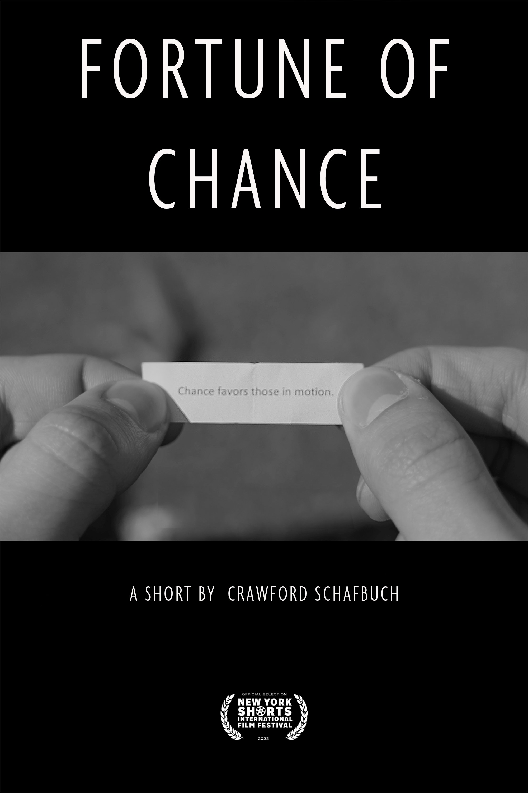 Poster de Fortune of Chance
