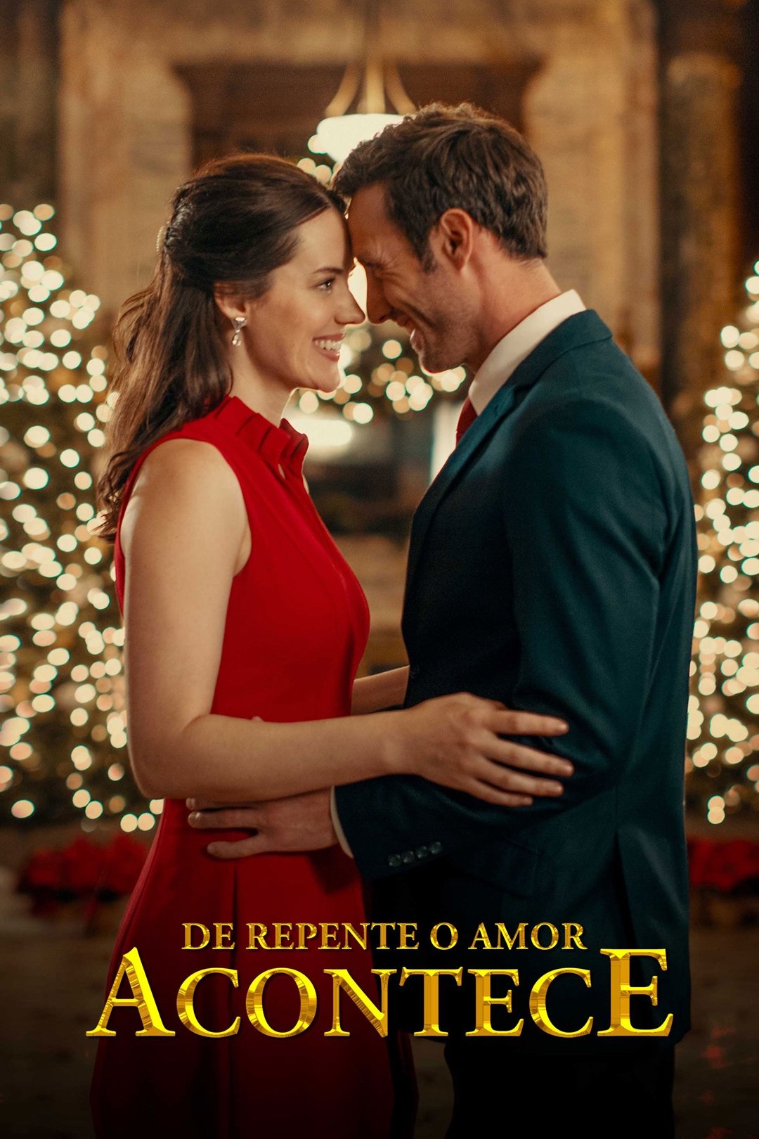 Poster de De Repente o Amor Acontece