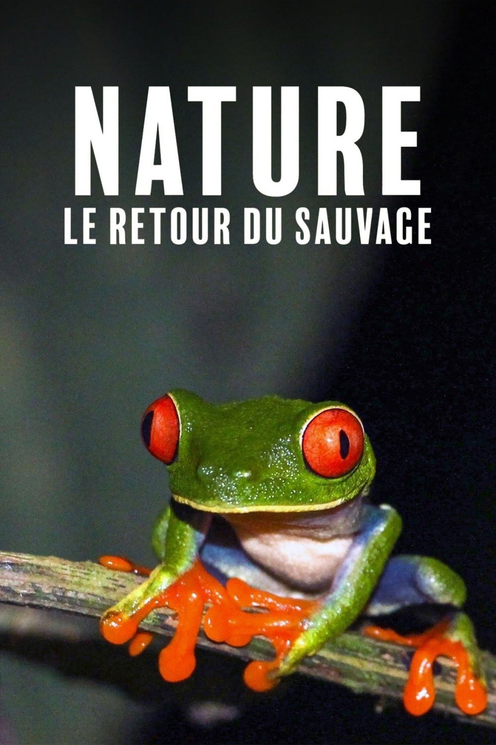 Poster de Nature, le retour du sauvage