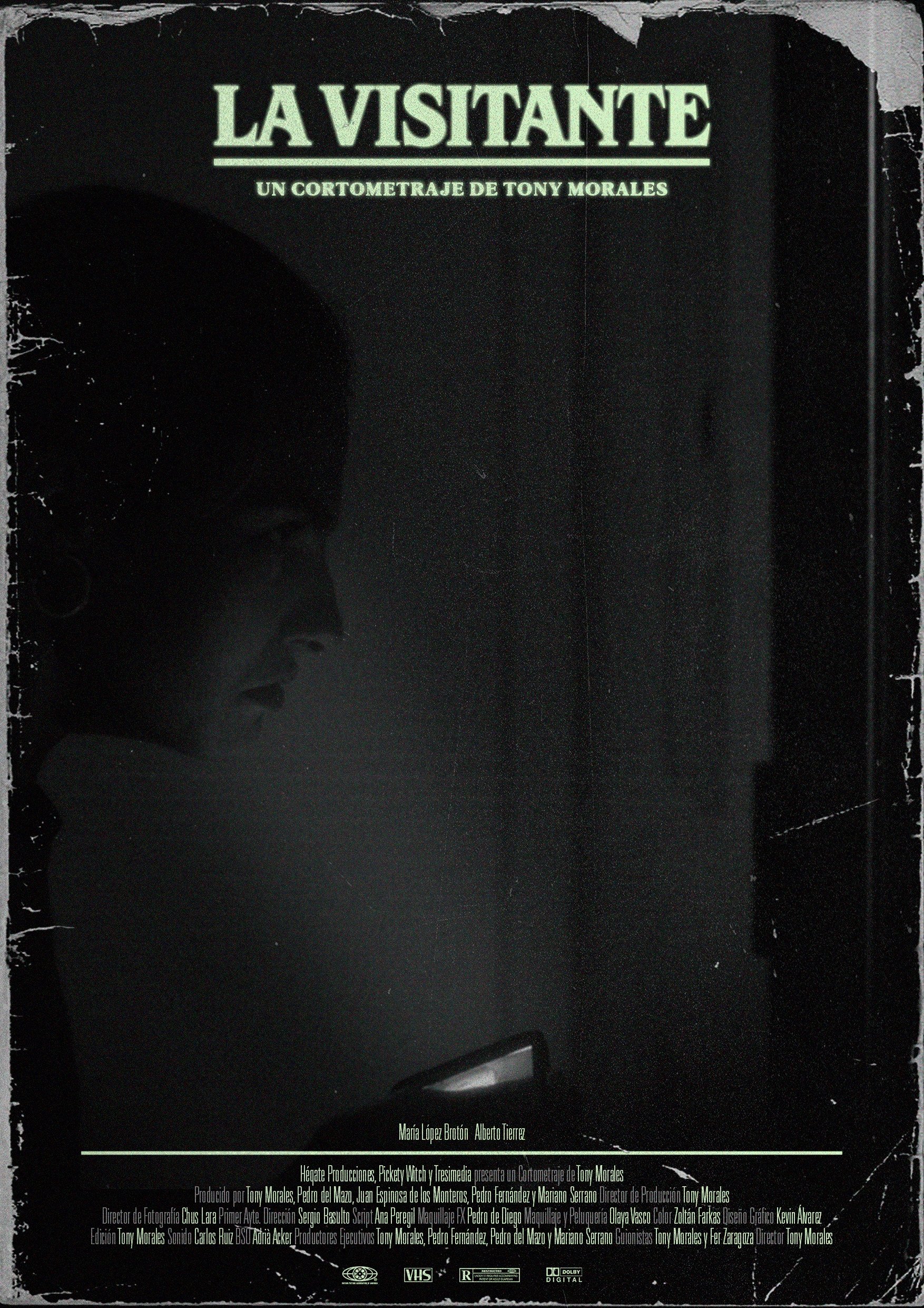 Poster de La visitante