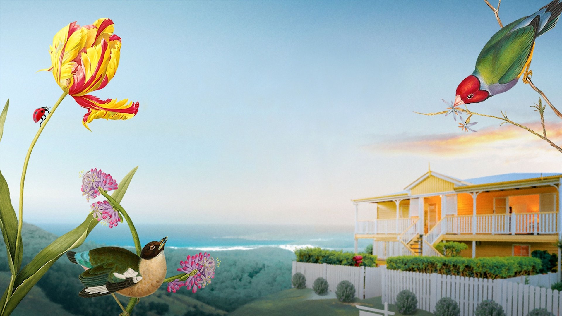Backdrop image