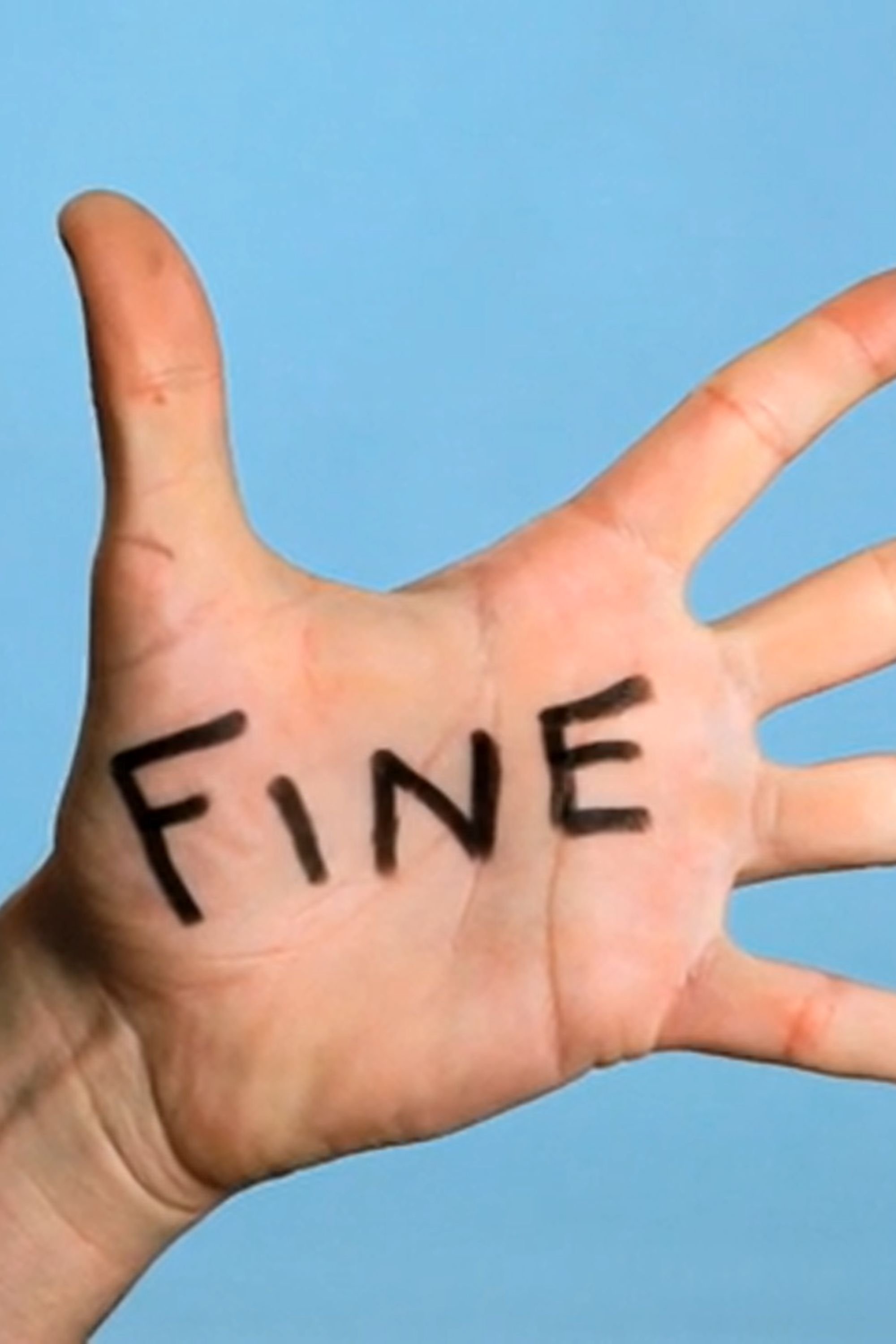 Poster de Fine