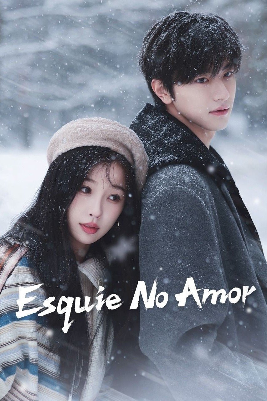 Poster de Esquiando para o Amor