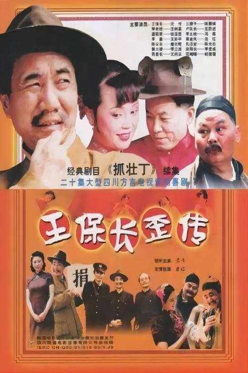 Poster de 王保长歪传
