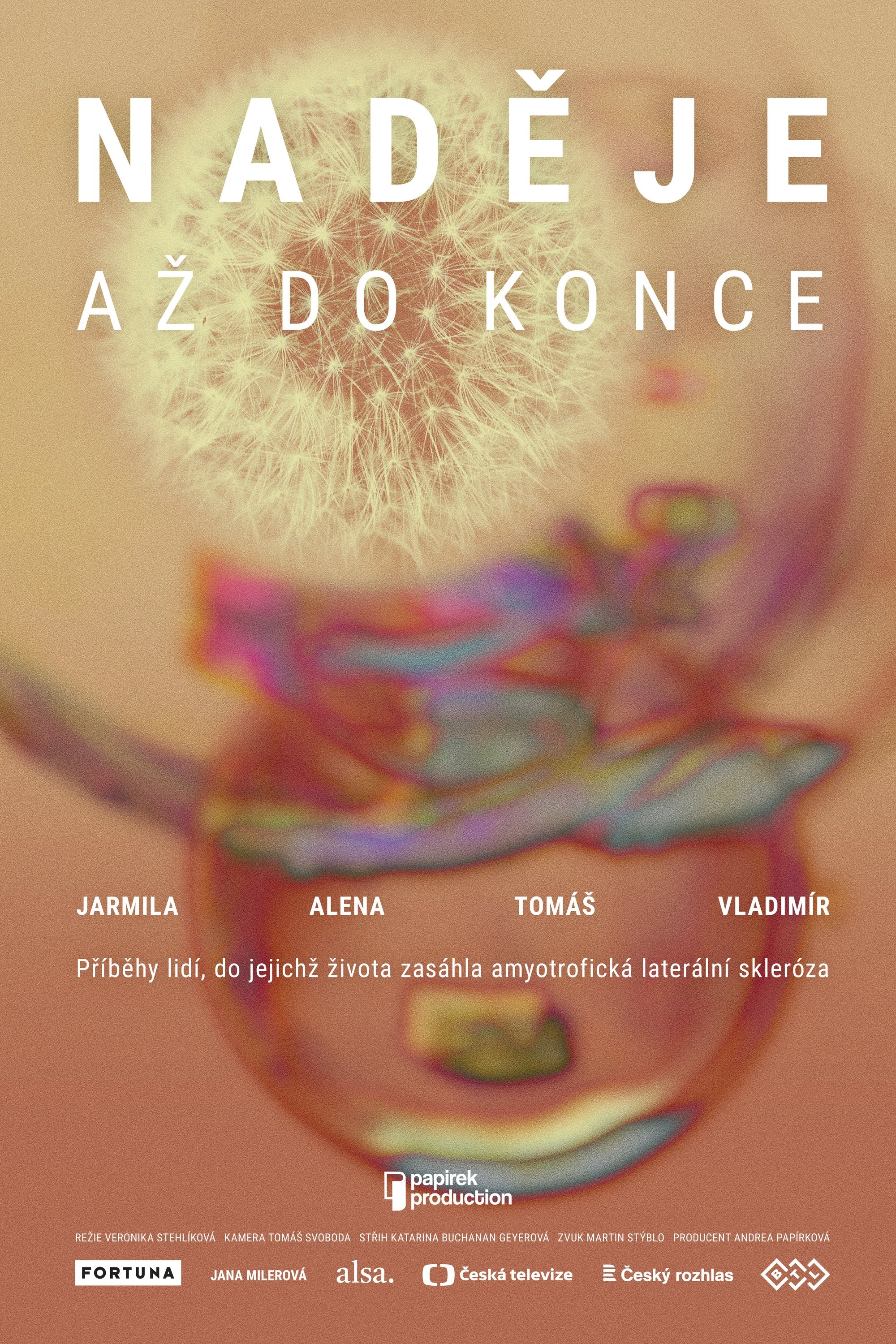 Poster de Naděje až do konce