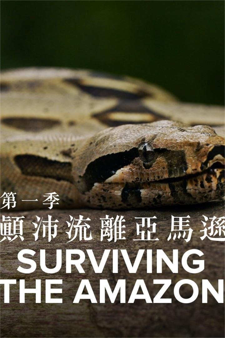 Poster de Temporada 1