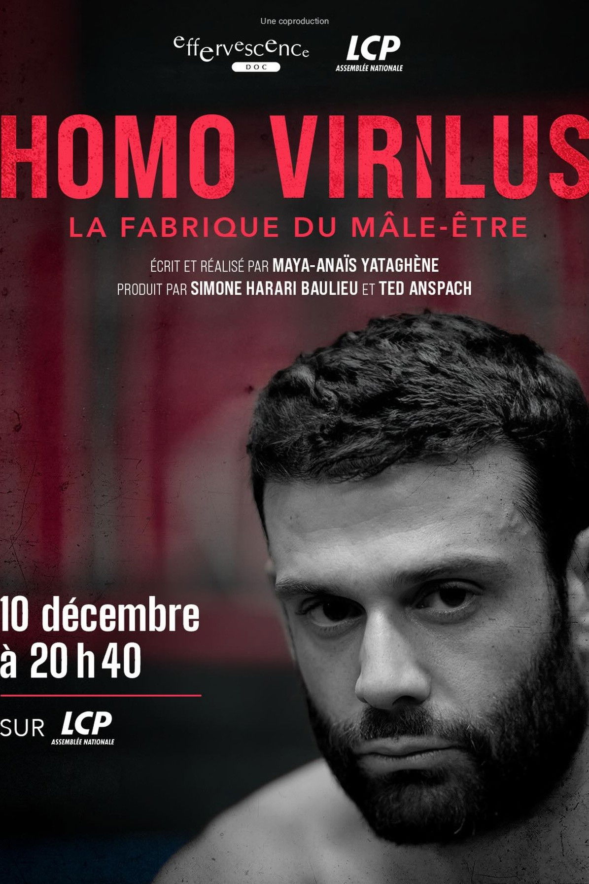Homo virilus : la fabrique du mâle-être