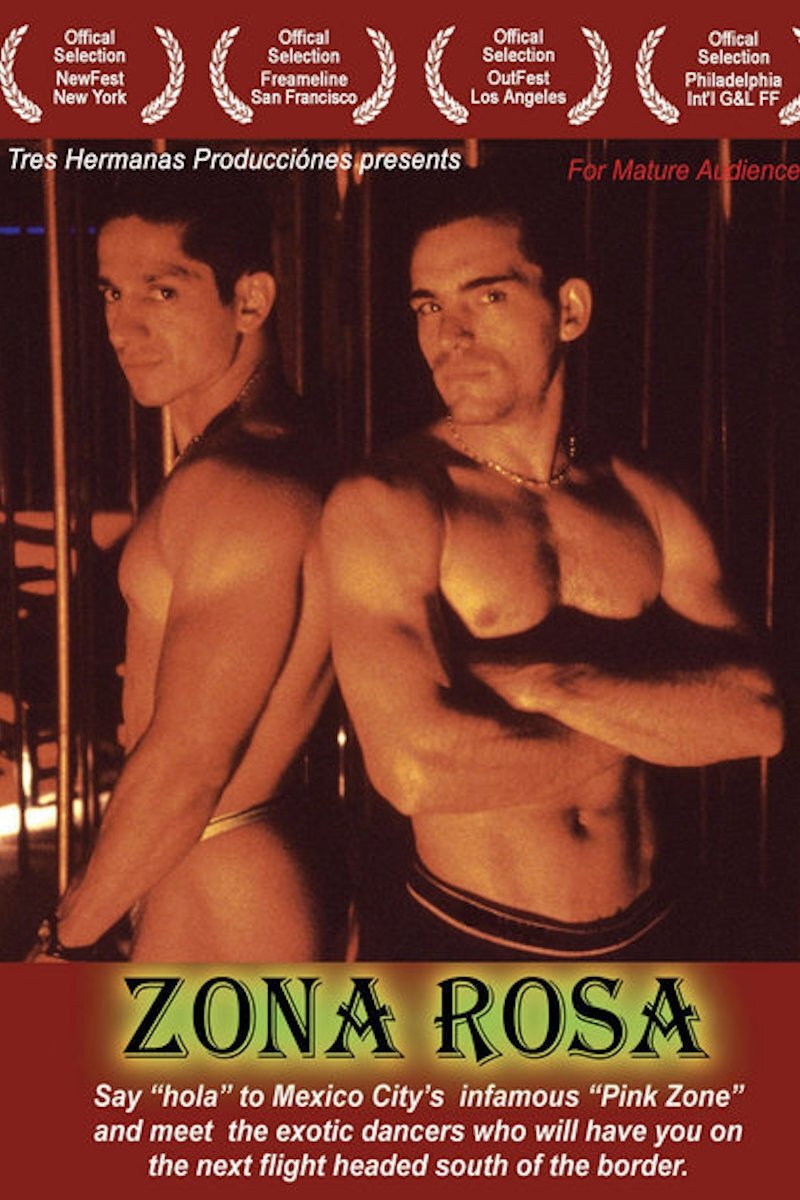 Poster de Zona Rosa