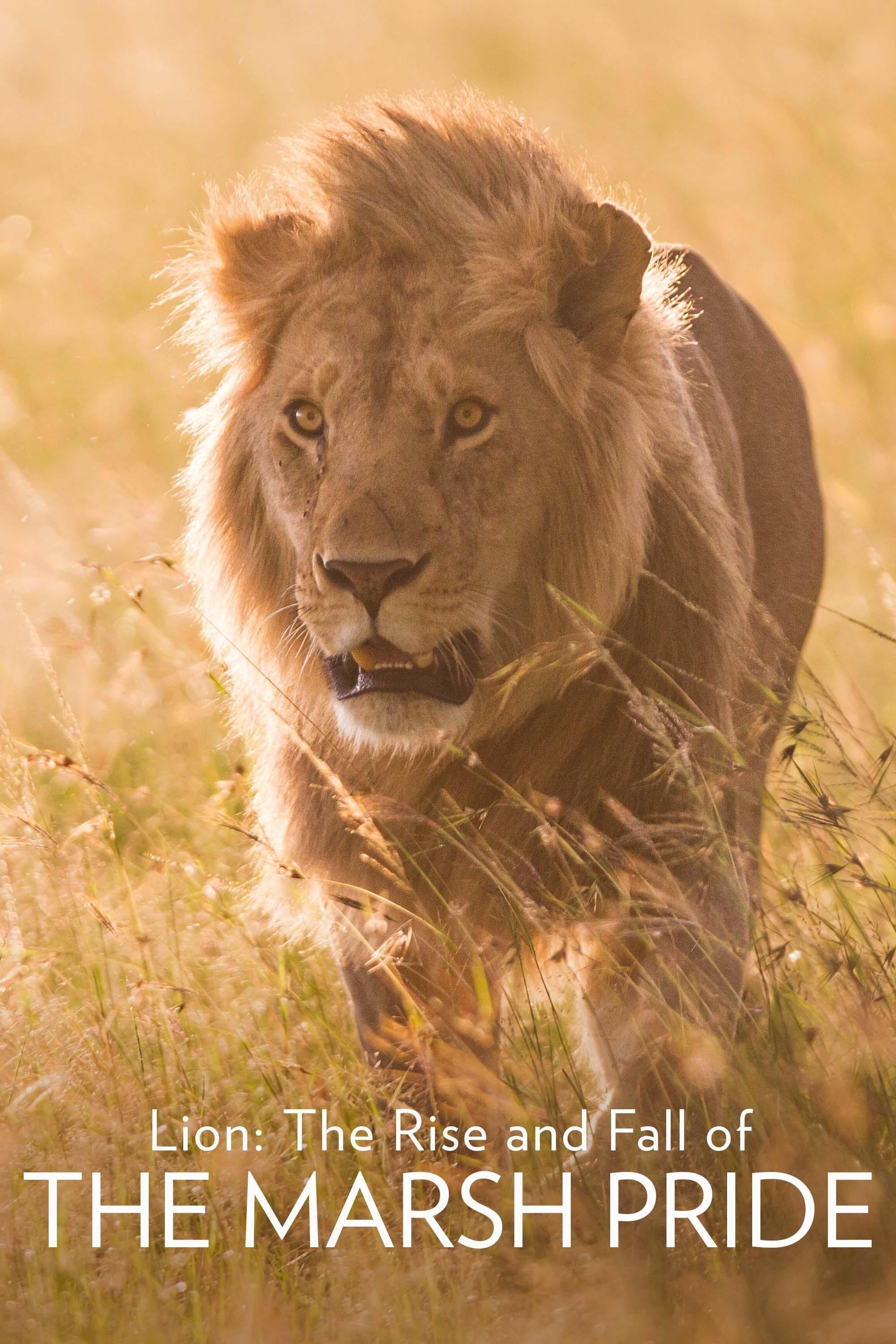 Poster de Lion: The Rise and Fall of the Marsh Pride