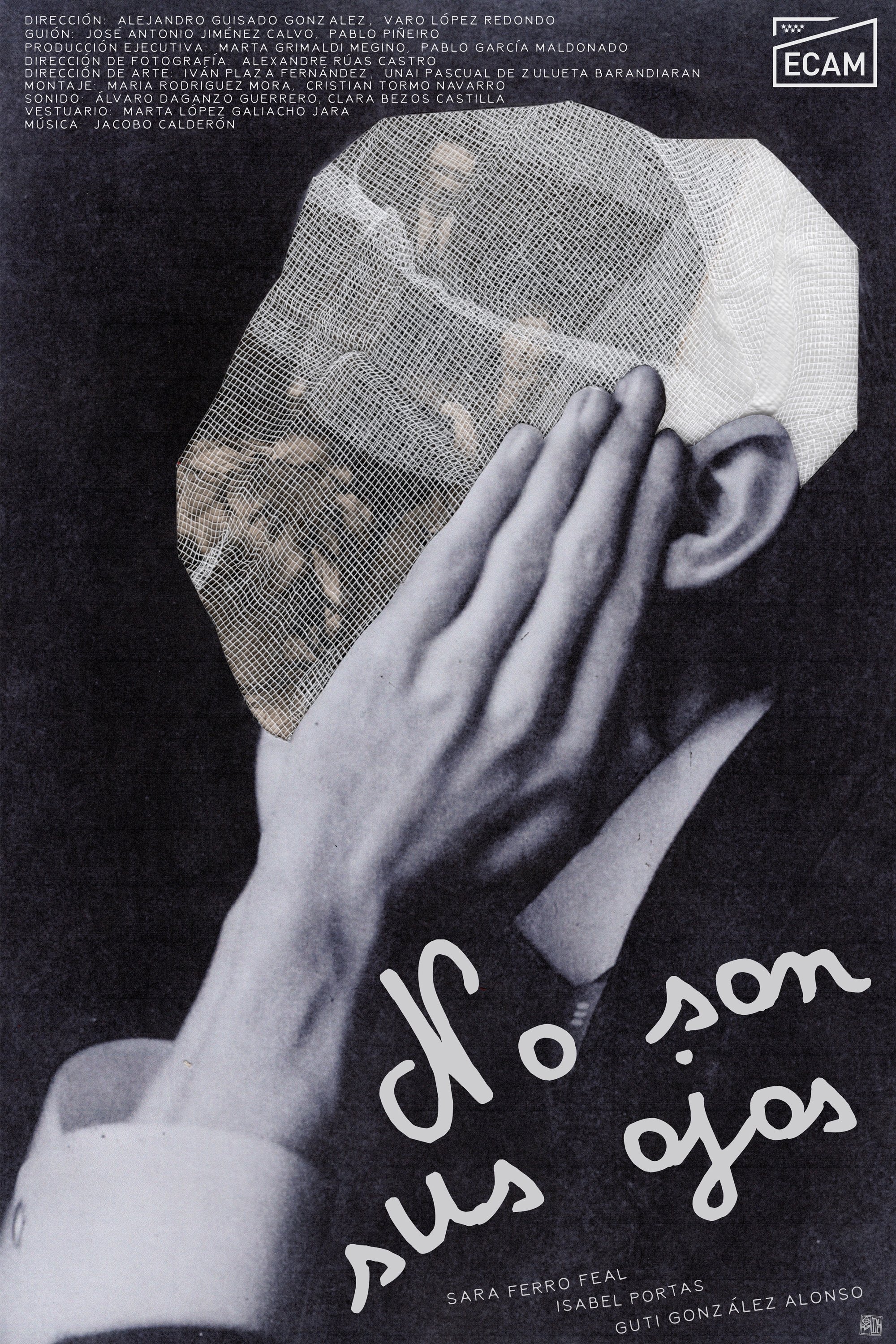 Poster de No son sus ojos
