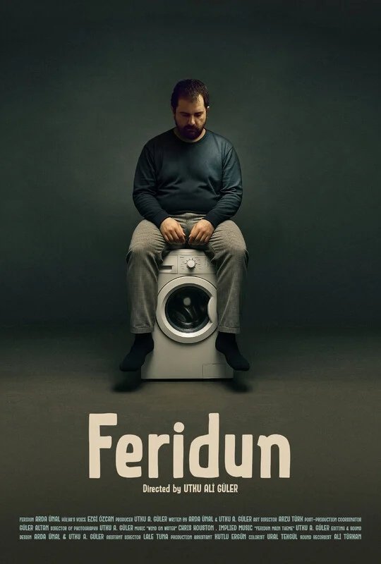 Poster de Feridun