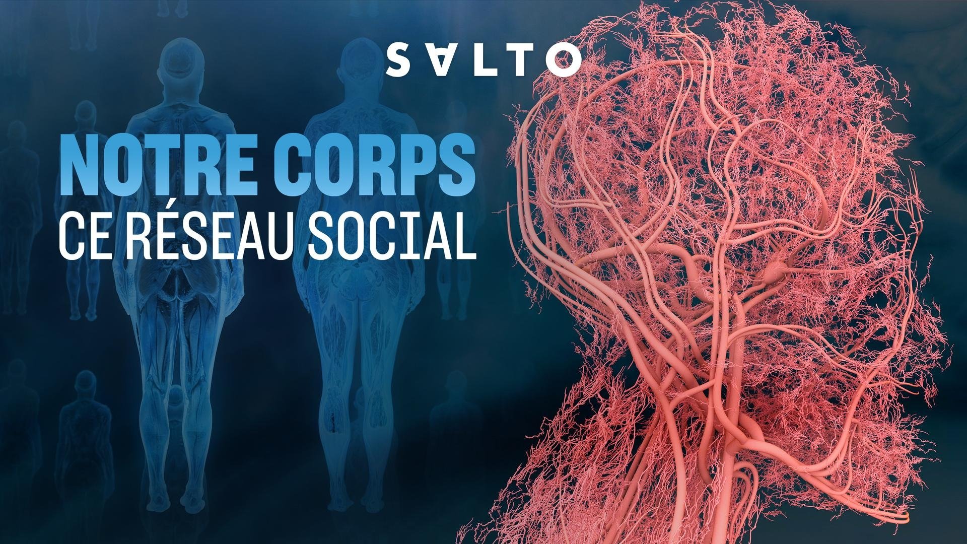 Notre corps, ce réseau social