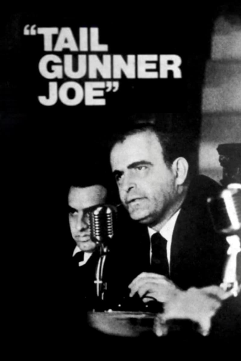 Affiche du film Tail Gunner Joe