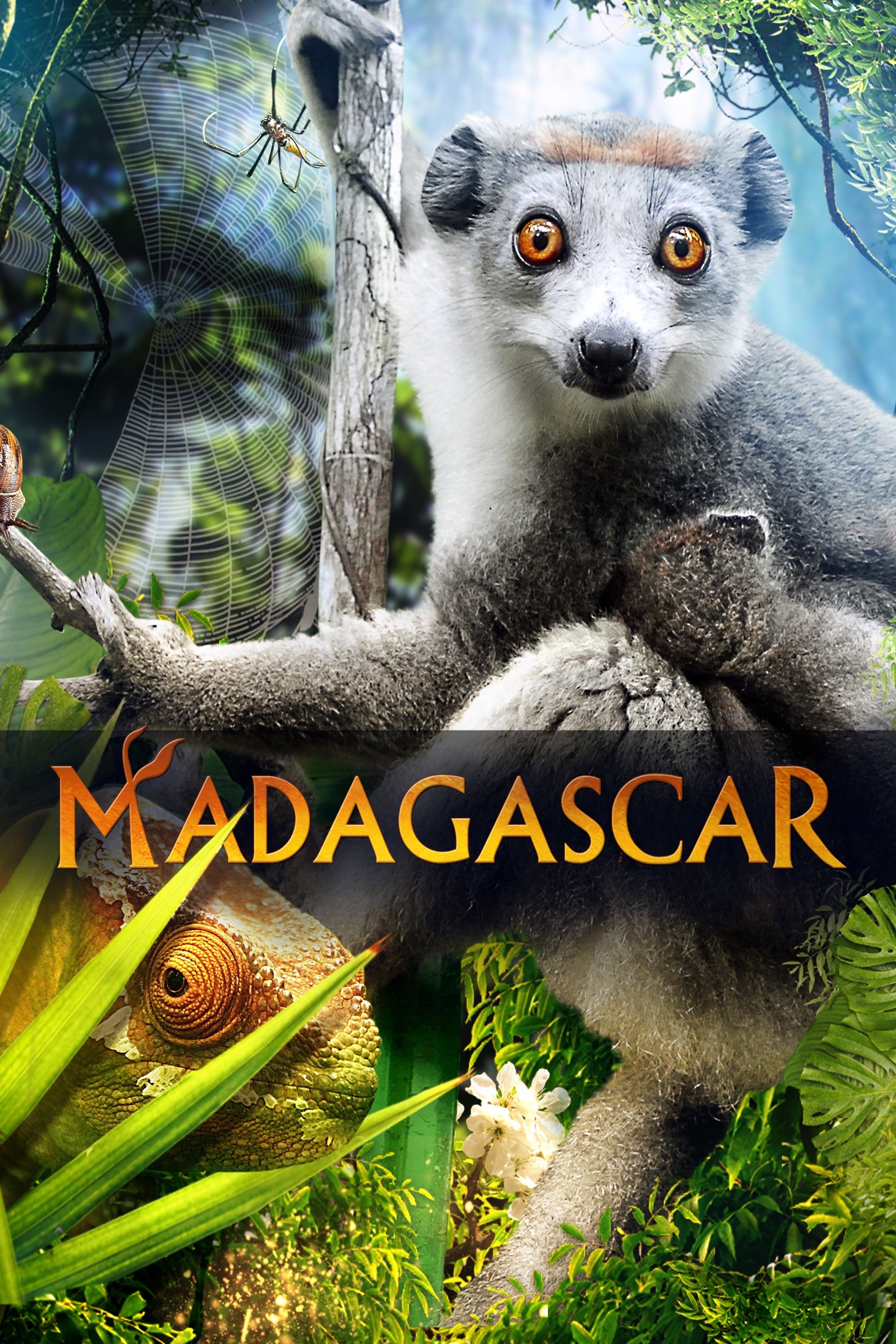 Poster de Madagascar 3D