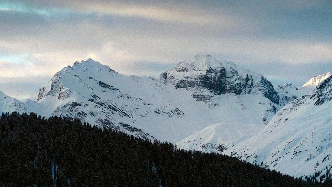 Backdrop