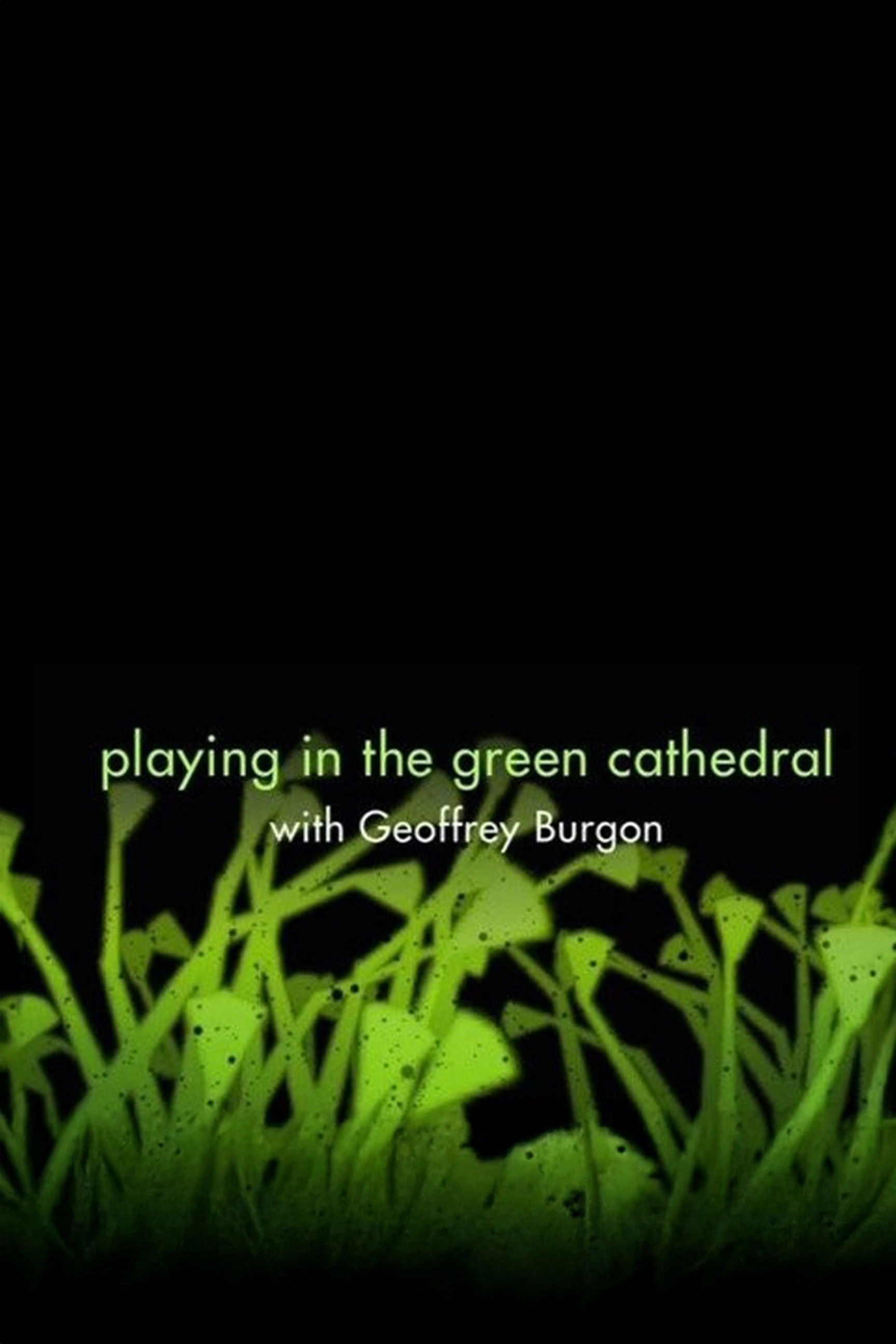 Playing in the Green Cathedral
