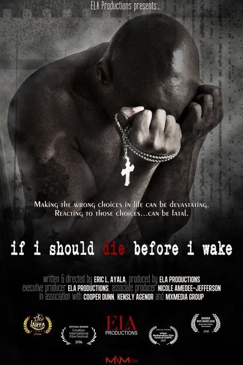 Poster de If I Should Die Before I Wake