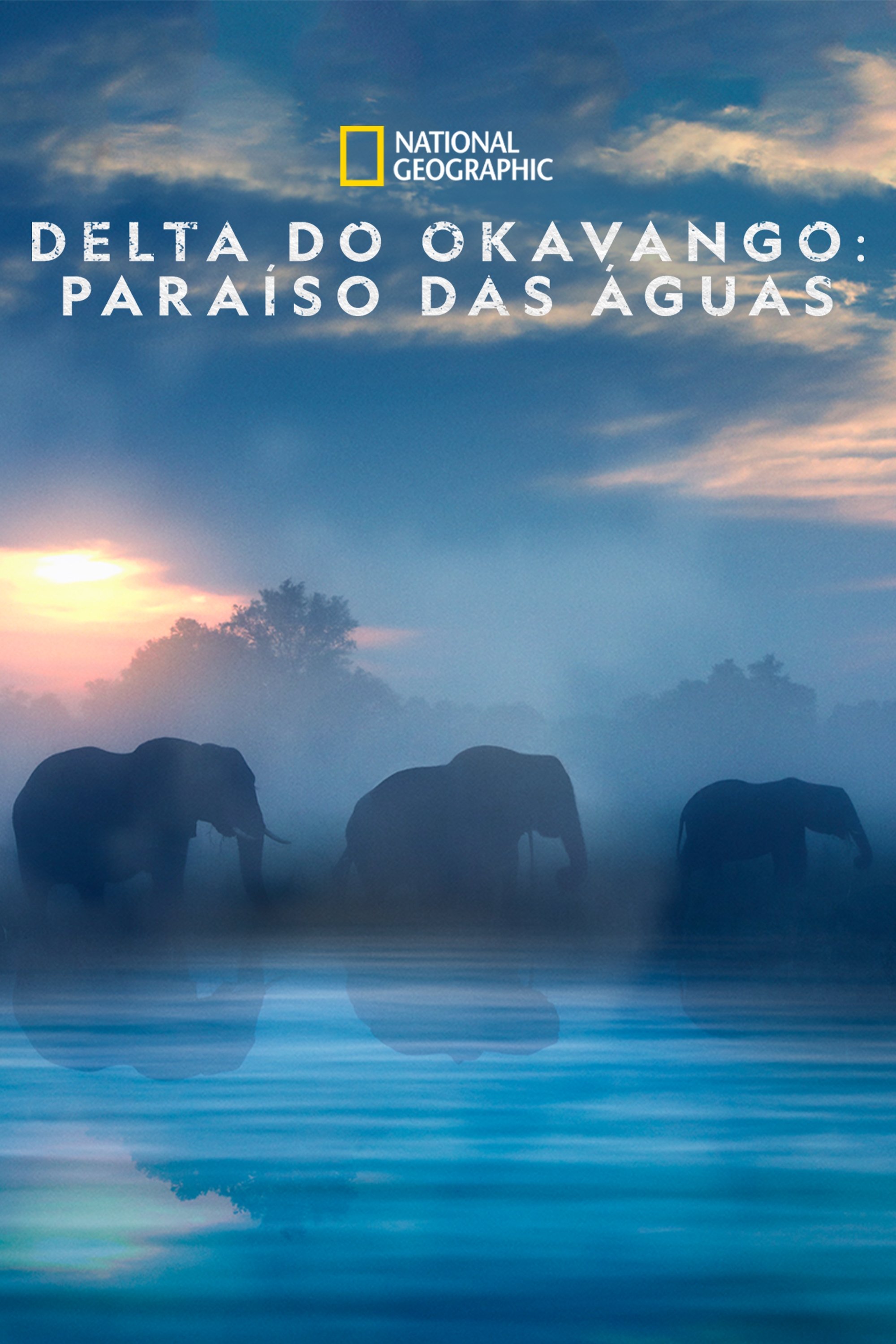 Poster de Delta do Okavango: Paraíso das Águas