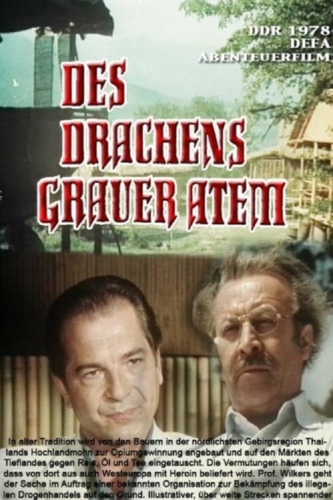 Affiche du film Des Drachens grauer Atem
